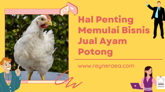 jual ayam