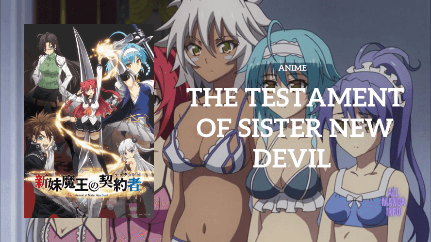 The Testament of Sister New Devil