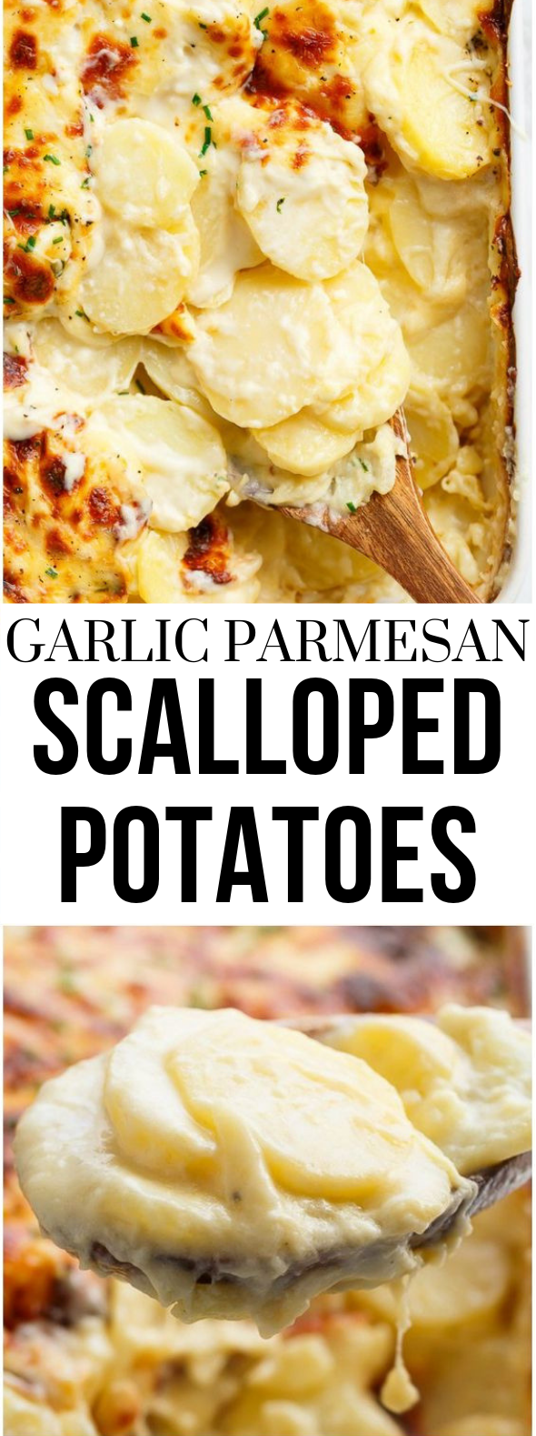 garlic parmesan scalloped potatoes #meal #delicious