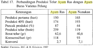 produksi telur ayam pelung