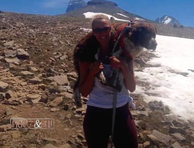 Woman-Bravely-Carries-Injured-55-Pound-Dog-on-Her-Shoulders-for-6-Hours-to-Rescue-Him-Dog-stories
