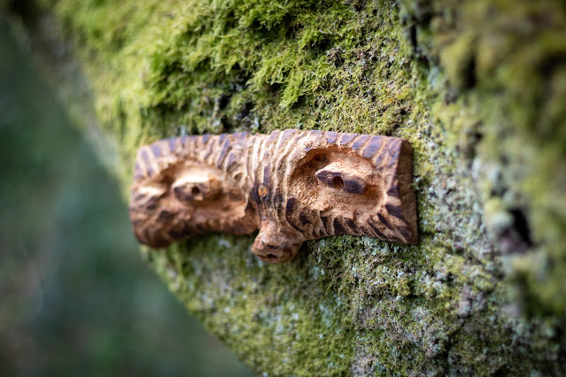 Faces in the woods