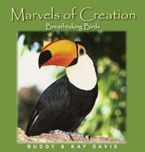 marvels-birds