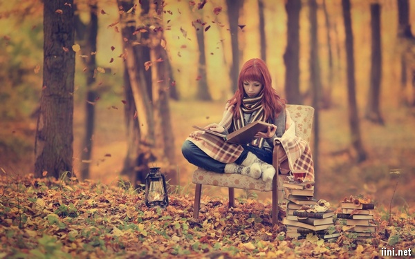 ảnh cô gái ngồi ghế trong rừng thu