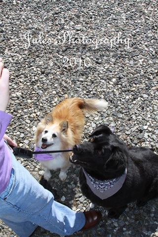 0599-Beg'n4TreatWeb6