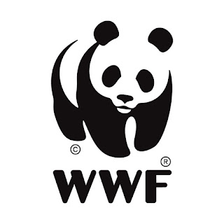 wwf, onsos, osos, bear, Bär