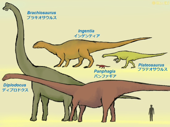 恐竜の話題 42 巨大竜脚類への進化 巨大化できたのはなぜ 進化の様子を明らかにする最近の報告 恐竜の話題 42 巨大竜脚類への進化 巨大化できたのはなぜ 進化の様子を明らかにする最近の報告