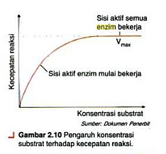 Grafik Pengaruh konsentrasi substrat terhadap kecepatan reaksi enzim