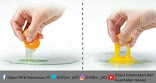 ciri ciri telur ayam asli dan ciri telur palsu
