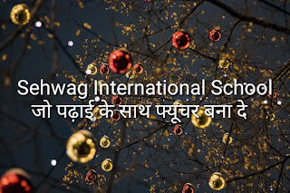 Sehwag international school admission