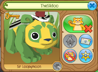 Image result for the slidoo animal jam