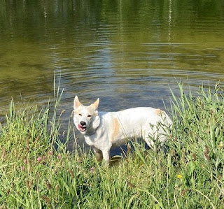 heerlijk bronwater