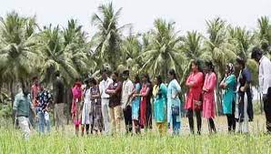 Extension of deadline for agricultural graduates to apply for subsidy