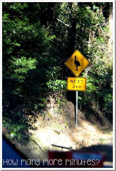 Kuranda Village | How Many More Minutes?
