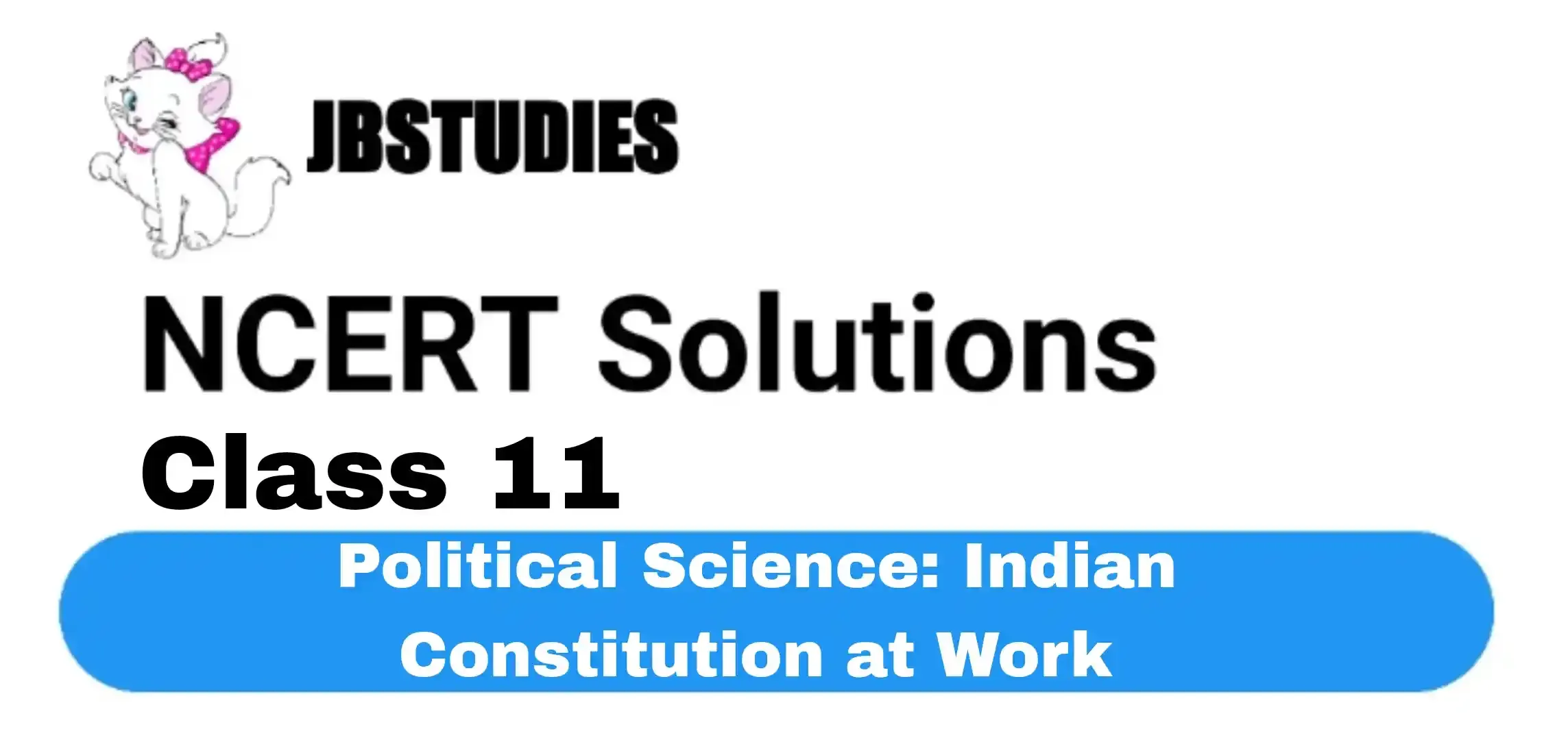 NCERT Solutions Class 11 Political Science