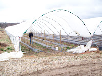 High Tunnels