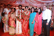 Amala Paul Al Vijay wedding Photos-thumbnail-15