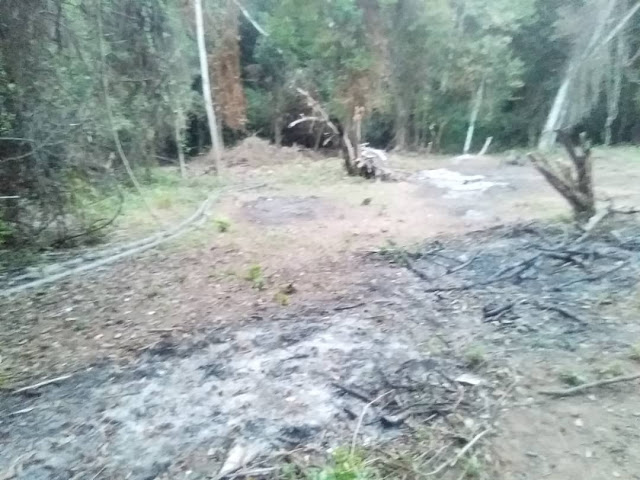 TALA DESMEDIDA EN SICARIGUA PONE EN RIESGO AL RÍO DE LA ZONA