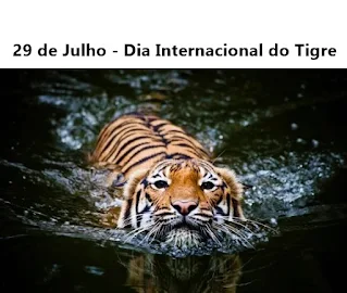 Quando é o Dia do Tigre?