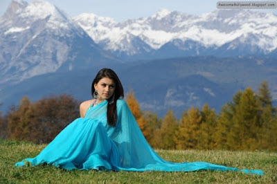 Hansika Motwani Hot and Beautiful photos in saree