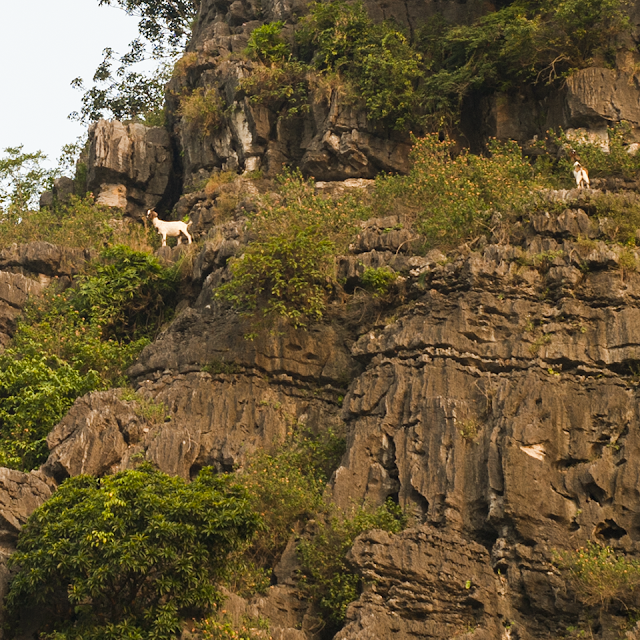 Hang Múa Ninh Bình