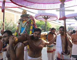 Ippasi Thirumoolam,Sattrumurai, Manavala Maamunigal,Purappadu,2016, Video, Divya Prabhandam,Triplicane,Thiruvallikeni,Utsavam,