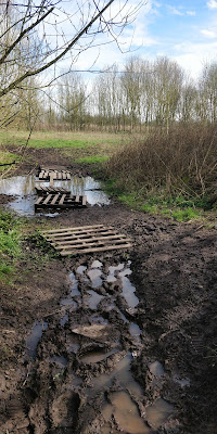 The path going into the meadows from the car park, or rather the stagnant pools in the large patch of mud by the car park. The usual wooden palette stepping stones are afloat.