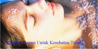 Manfaat Garam