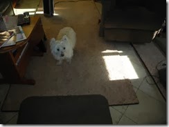 DSCN1560