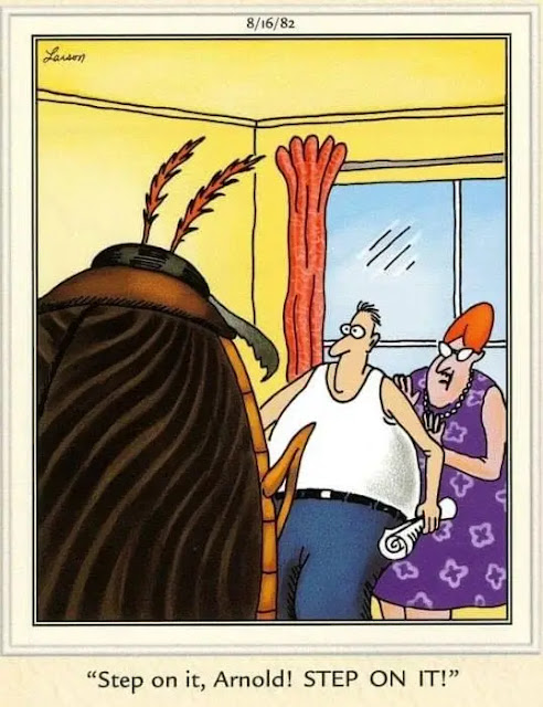 20 Best Far Side Comics That Will Laugh You Out Loud