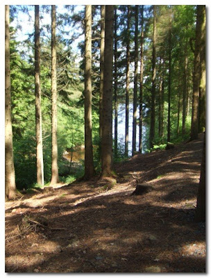 kielder water