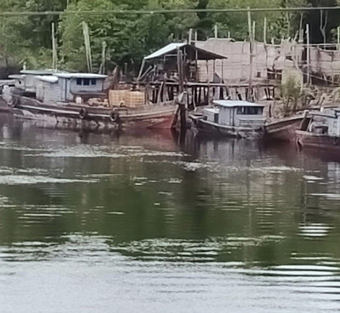 Gudang Penampungan CPO Diduga Ilegal Masih Beroperasi di Sungai Dumai