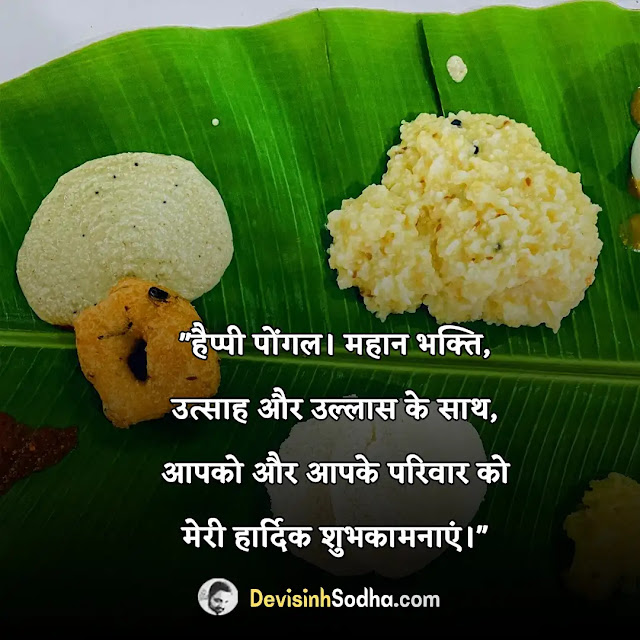 happy pongal status for whatsapp, pongal की शुभकामनाए, pongal की शायरी, स्टेटस,, pongal sms text messages, thai pongal wishes quotes, happy pongal wishes messages for family, pongal quotes in english, pongal sms in tamil language, mattu pongal quotes in tamil, pongal quotes sms in tamil