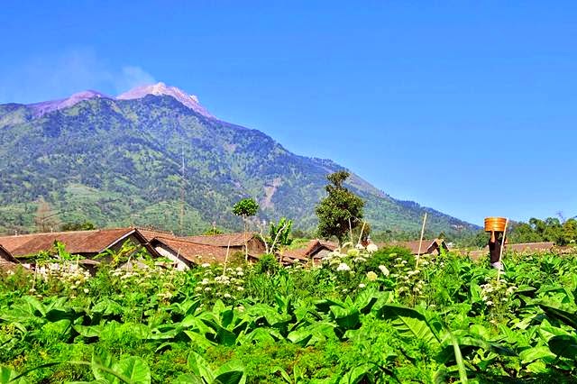  Kecamatan Selo Kabupaten Boyolali merupakan sebuah kecamatan yang terletak diantara dua G Obyek Wisata di Kawasan Merapi-Merbabu Selo Boyolali