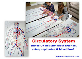 http://homeschoolden.com/human-body-systems/