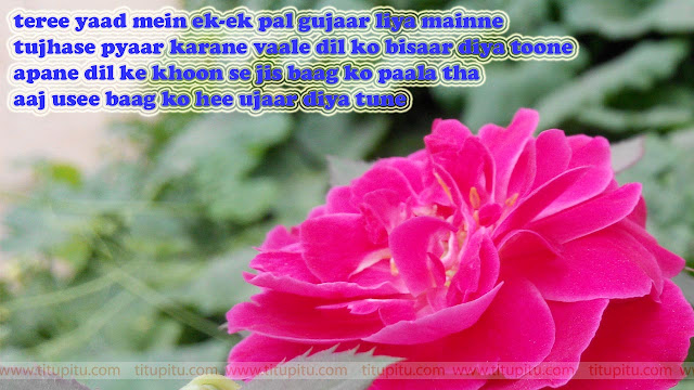 Hindi-shayari-dard-bhari