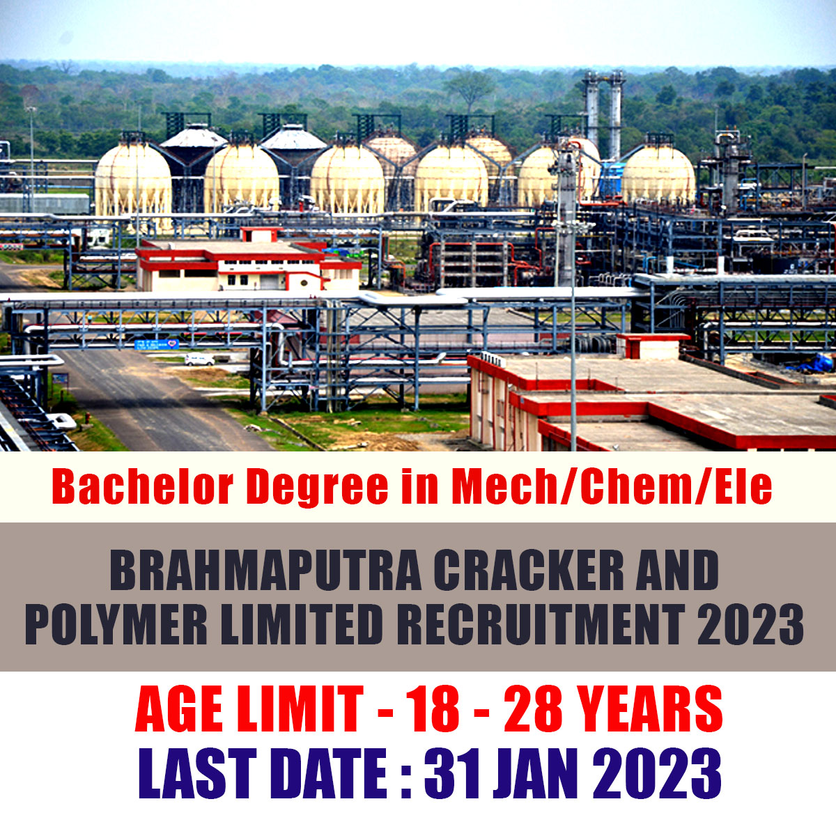 BCPL Recruitment 2023 | Graduate Apprentice 121 Vacancies | Apply Online