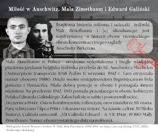 Na szarym tle i częściowym zdjęciu Torów kolejowych, wartowni i bramy głównej Auschwitz II (Birkenau), widoku z rampy wewnątrz obozu w górnej części slajdu umieszczono na środku tytuł: Miłość w Auschwitz. Mala Zimetbaum i Edward Galiński. Poniżej po lewej stronie slajdu umieszczono zdjęcie obozowe Edwarda Galińskiego, młodego mężczyzny w pasiaku, z zgoloną głową i nieco wystającymi uszami i wprost patrzącym poważnym na widza wyrazem twarzy. Obok z prawej strony umieszczono czarno-białe zdjęcie  nieco zamyślonej, ale patrzącej poważnie Mali Zimetbaum, młodej kobiety odzianej w bluzeczkę w kratę z czarnymi bujnymi włosami. Z prawej strony, obok zdjęć umieszczono tekst:  Tragiczna historia miłosna i ucieczki żydówki Mali Zimetbaum i jej ukochanego jest najsłynniejszą w historii obozu niemieckiego obozu koncentracyjnego i zagłady Auschwitz-Birkenau. Pd tym fragmencie tekstu umieszczono delikatną  grafikę czerwonej róży. Poniżej umieszczono tekst: Mala Zimetbaum w Polsce urodzona wykształcona i biegle władająca pięcioma językami belgijska żydówka przybyła do KL Auschwitz z Mechelen (Antwerpia)w transporcie 1048 Żydów 17 września 1942 r. Tam otrzymała numer obozowy 19880. Dzięki swoim umiejętnościom lingwistycznym była gońcem i tłumaczką. Miała dobrą pozycję w obozie i pomagała innym więźniom. Na przełomie 1942/ 1943 poznała pracującego w obozie kobiecym Polaka Edwarda Galińskiego. Zakochali się w sobie i postanowili uciec. 24 czerwca 1944 r. Ona w kombinezonie roboczym, on w mundurze SS-mana. Parę schwytano 7 lipca 1944 r. i skazano na śmierć. Na ścianie celi nr 20 Bloku Śmierci, Galiński uwiecznił: „531 Galiński Edward + 6. VII. 1944r. 19 880 Mally Zimetbaum. Numer obozu i ostatniego dnia na wolności. Bibliografia:Bibliografia: Jewish Women's Archive. N. Shik, Mala Zimetbaum (1918-1944 na: https://jwa.org (dostęp. 31.07. 2023). Źródło zdjęć: Wikipedia