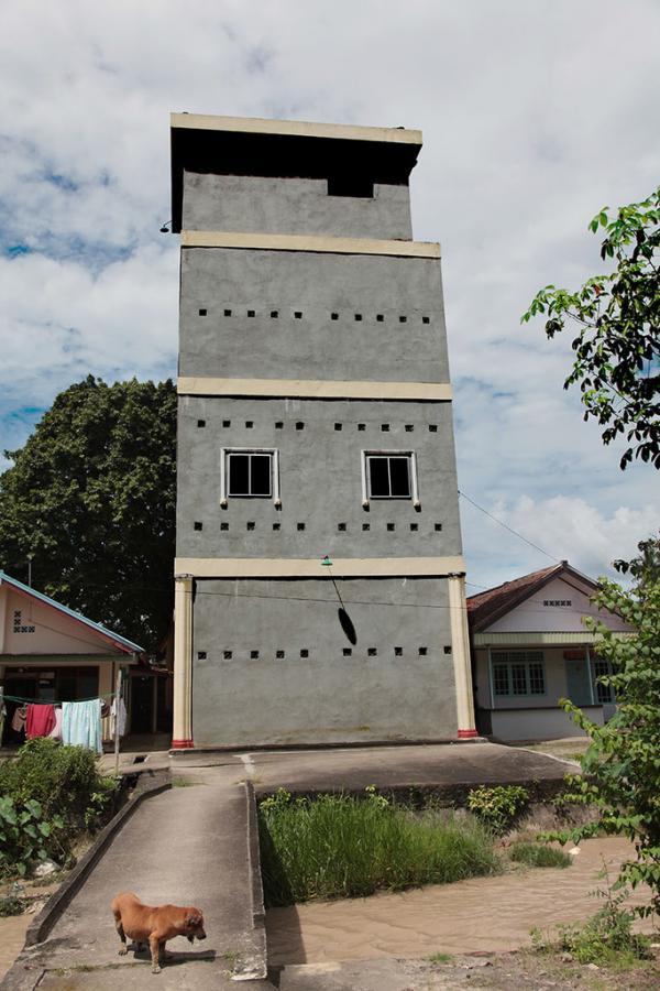 Kumpulan Gambar Rumah Walet Burung Walet Kalimantan