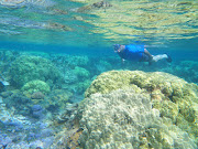Paul snorkeling in the Wai'opae tidepools in Puna (hawaii ed med)