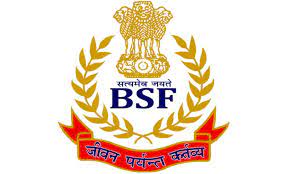 Border Security Force (BSF) सीमा सुरक्षा दल - Group B पदे भरती