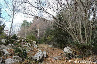 Ruta circular a serra Cavallera des de Camprodon