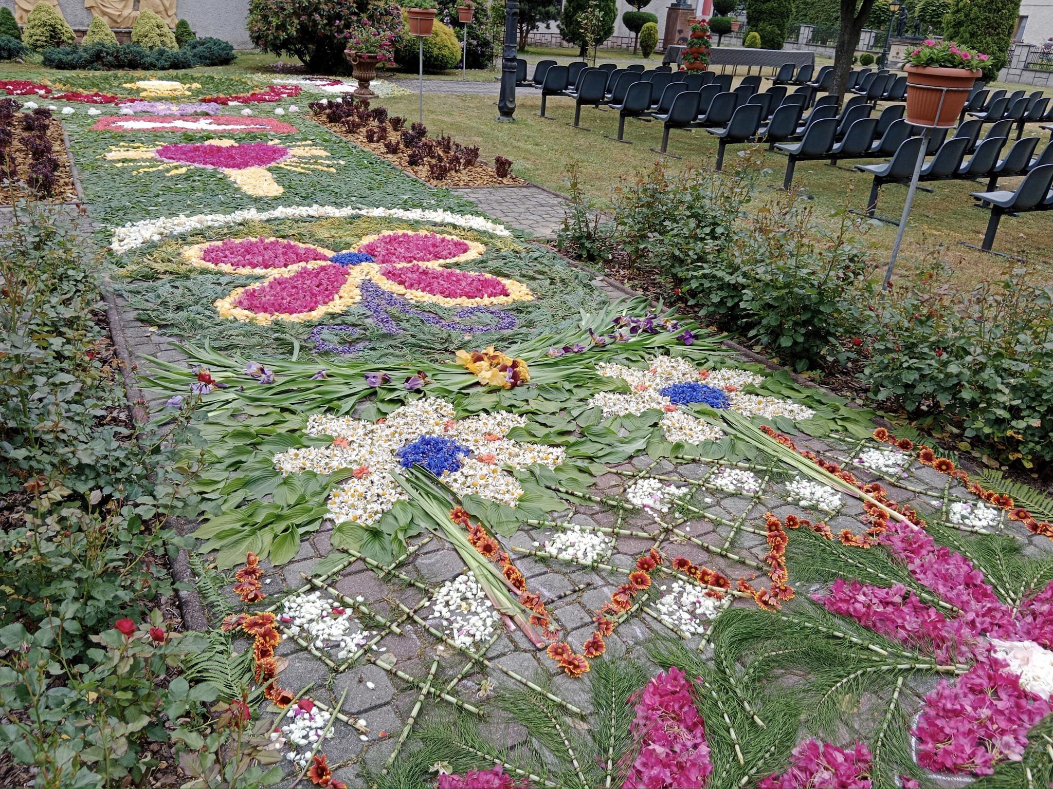 Zobacz niezwykły dywan z kwiatów w Cmolasie [ZDJĘCIA]
