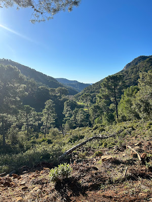 Picture of the surrounding mountains