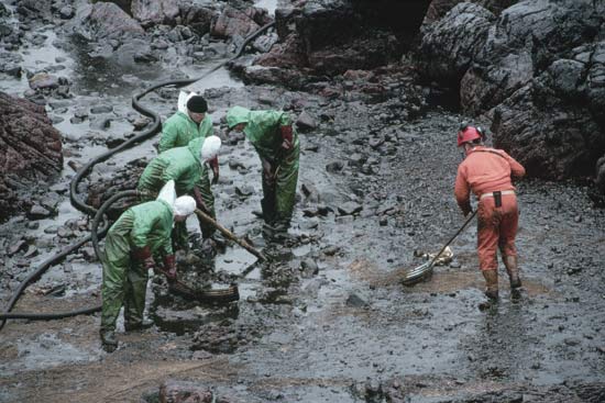 Pictures Of Oil Spills. oil spills by establishing