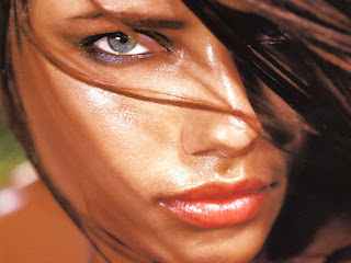 Free unwatermarked wallpapers of Adriana Lima at Fullwalls.blogspot.com