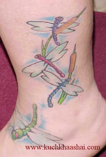dragonflies tattoos. discuss dragonfly tattoos,