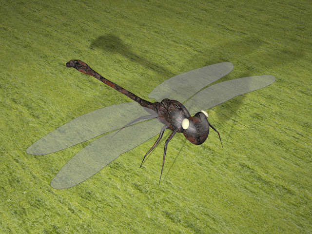 Dragonfly 3D Projects