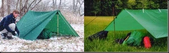 Tarp