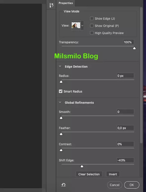 Cara seleksi rambut di photoshop dengan Refine Edge, menyeleksi rambut, cara menyeleksi rambut di photoshop dengan rapi, menyeleksi rambut, cara seleksi rambut agar rapi pada rambut keriting atau rambut berantakan